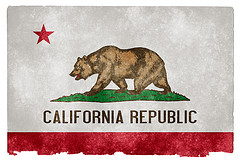 California Grundge State Flag