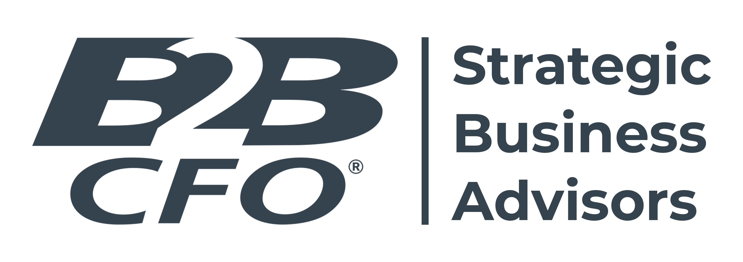 B2B-CFO-Strategic-Business-Advisors-New-Blue