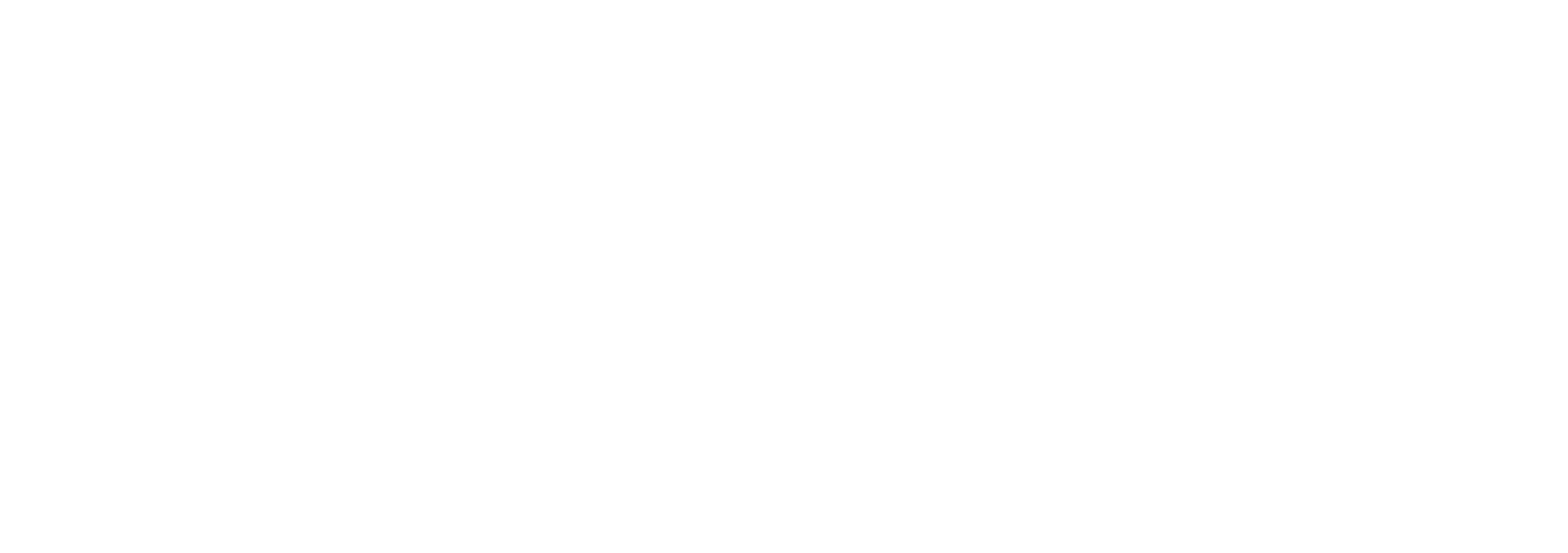 White B2B-CFO-Logo-Strategic Business Advisors Horizontal 2021