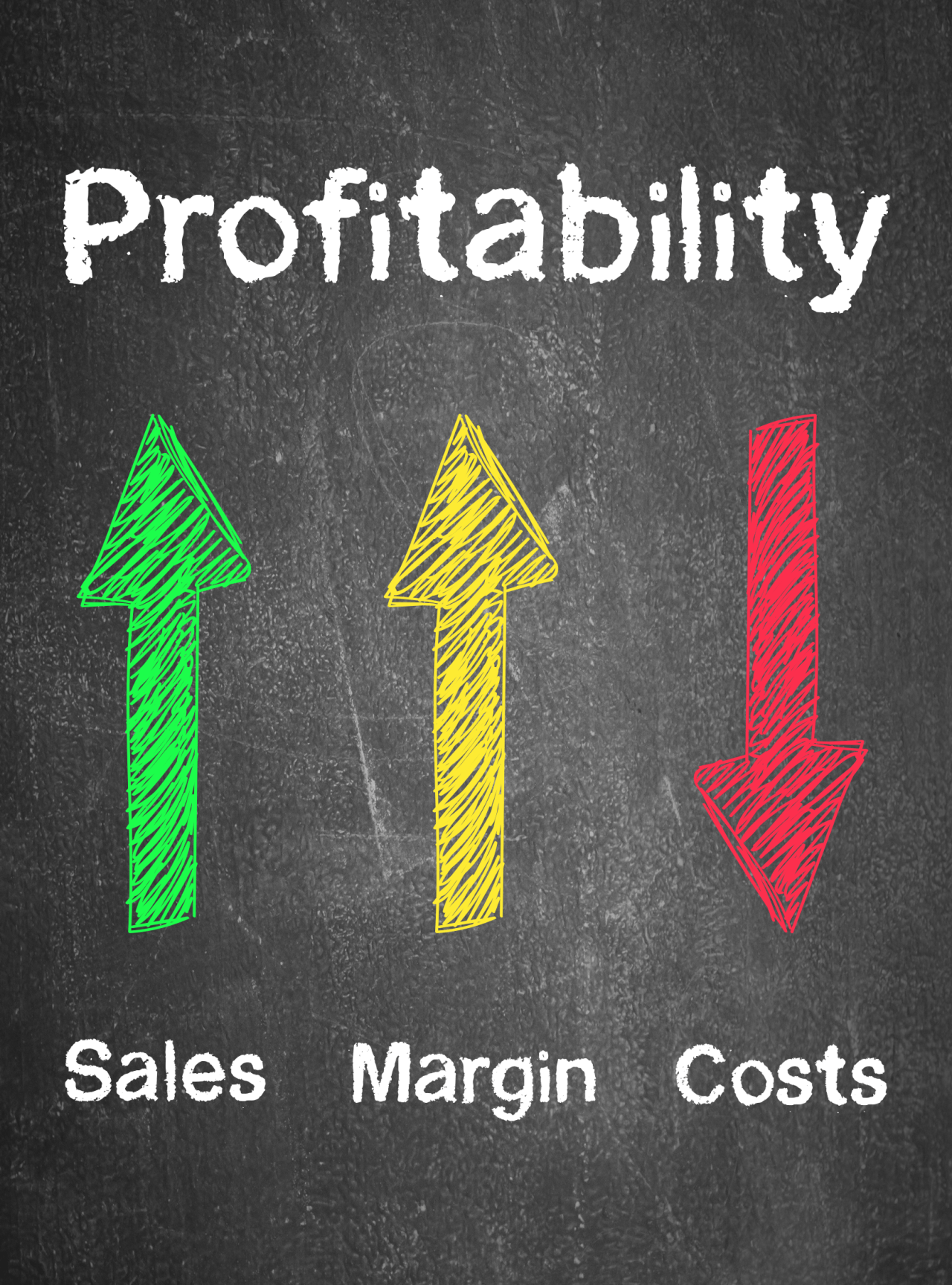 Help Companies Grow Profitably B2B CFO