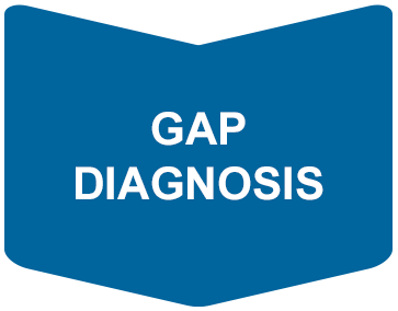 03-Gap-Diagnosis V